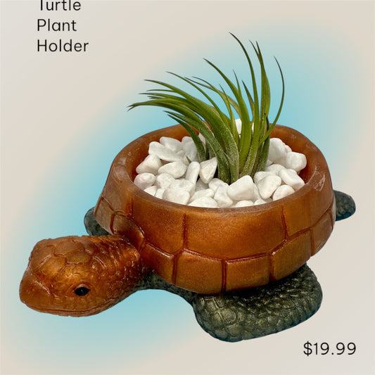 Turtle Plant Holder