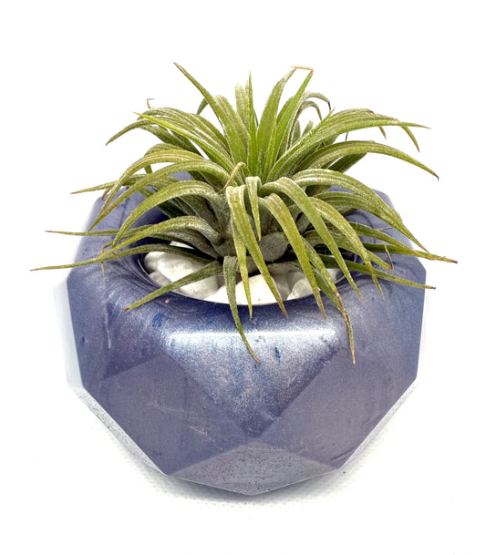 Marble Epoxy Plant Holder Bowl