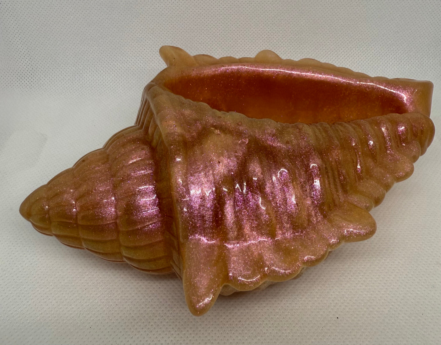 Pearl Beach Shell Plant Holder