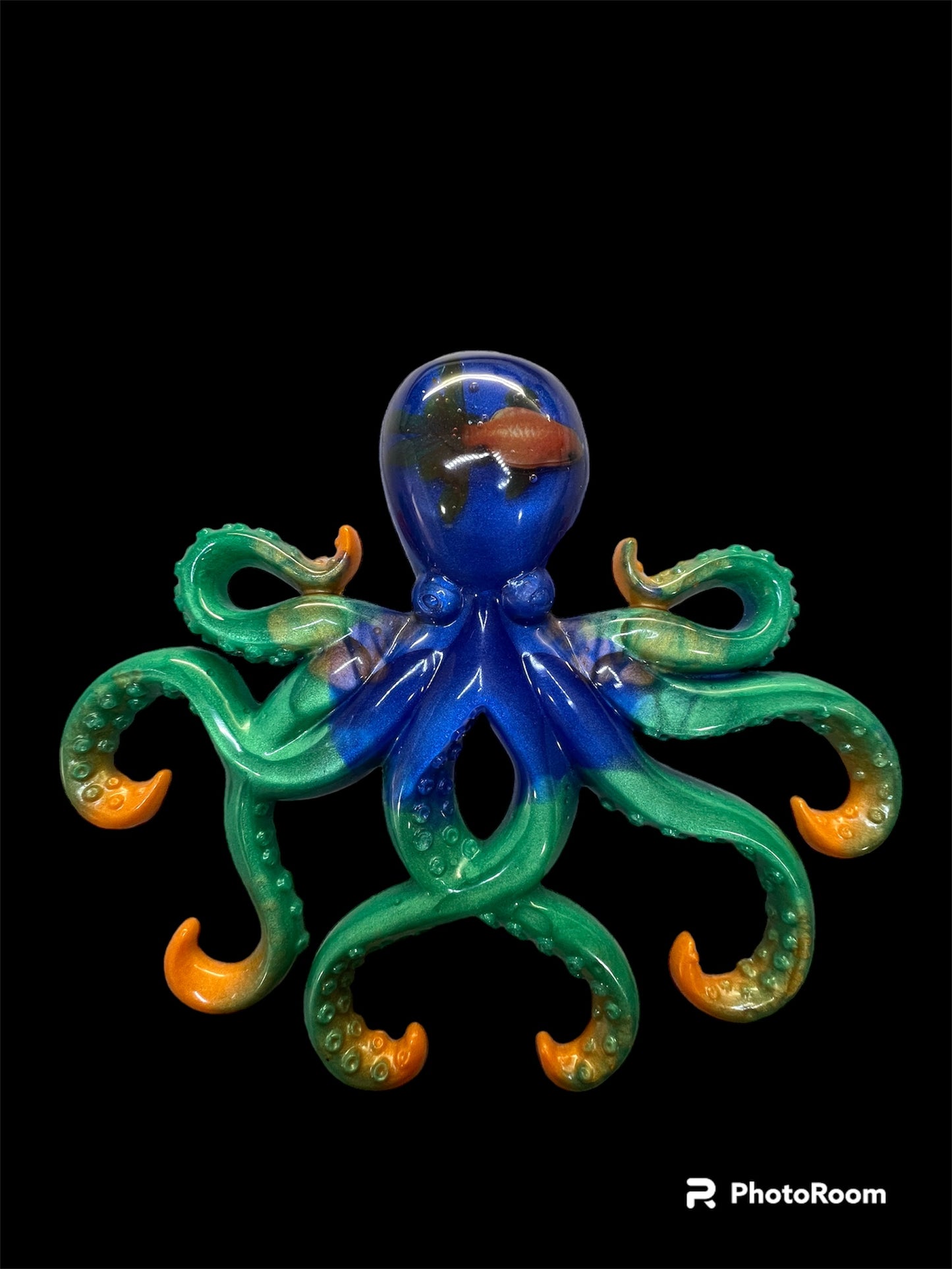 Large Octopus with Fish