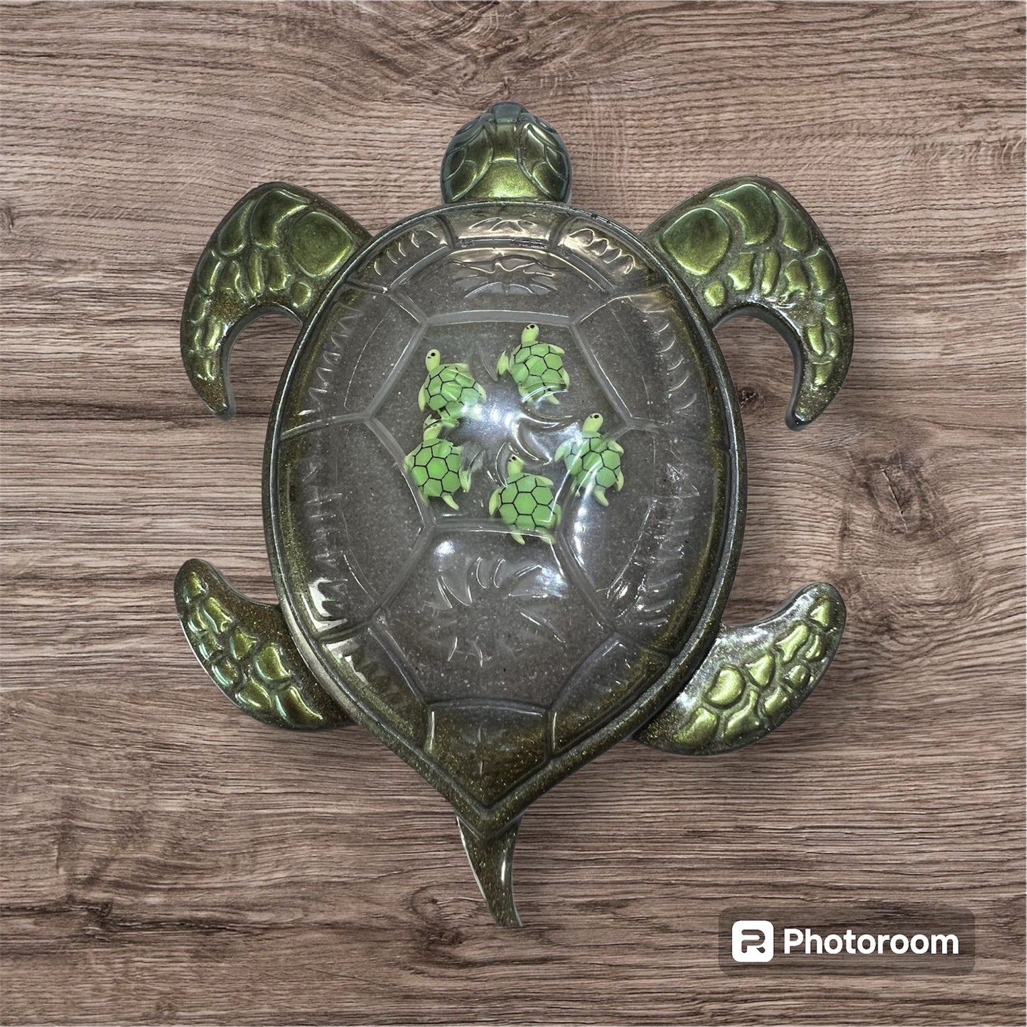 Turtle with Babies