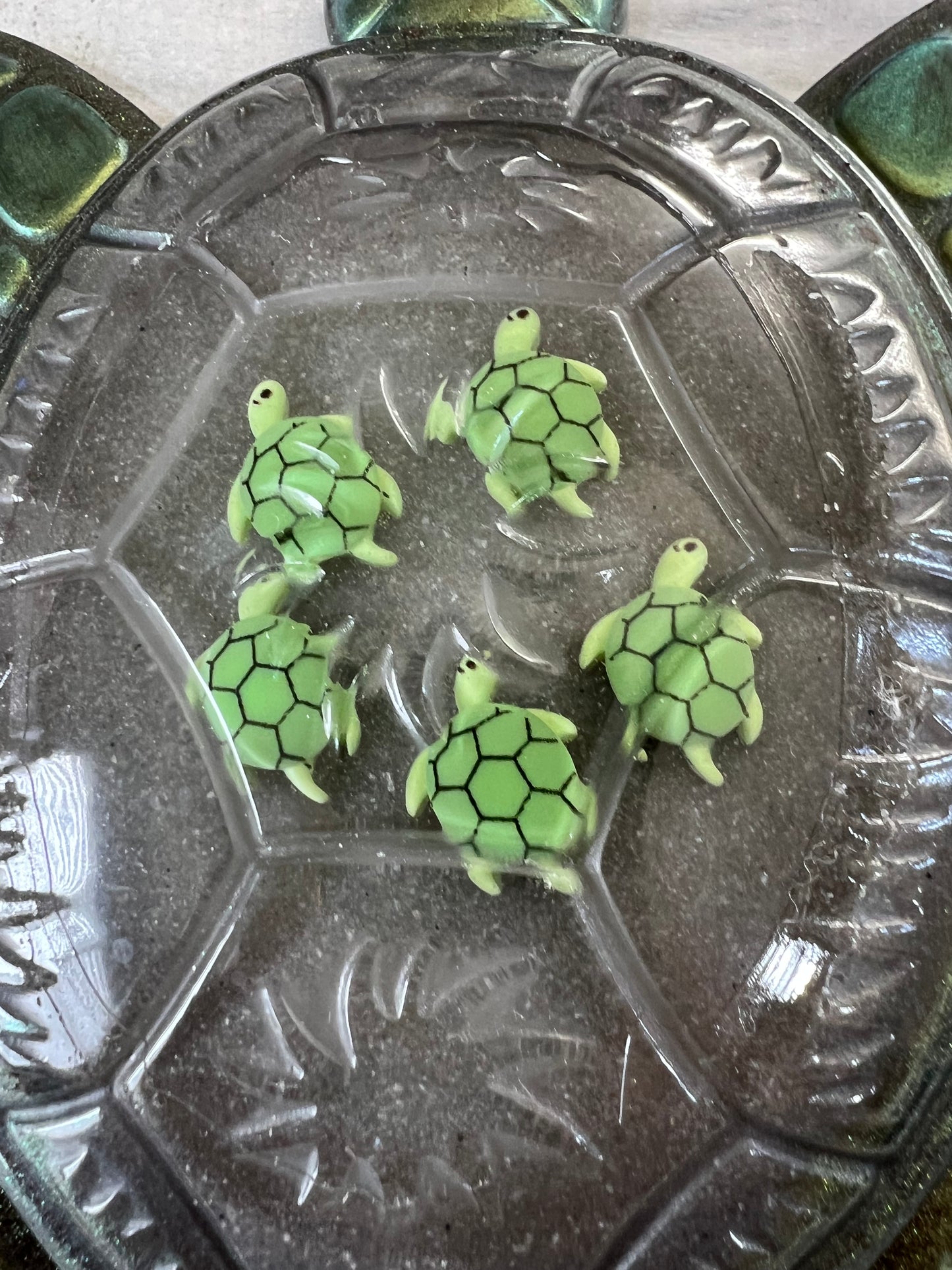 Turtle with Babies