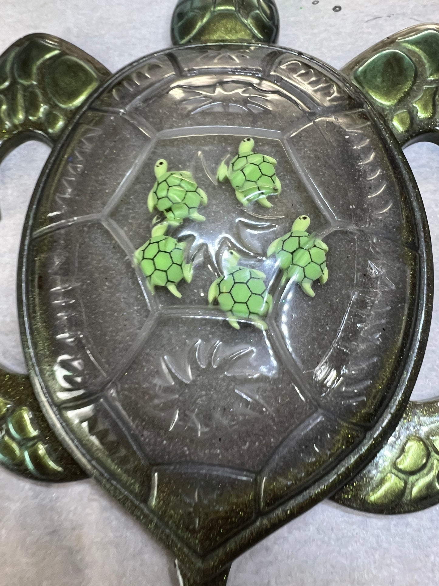 Turtle with Babies