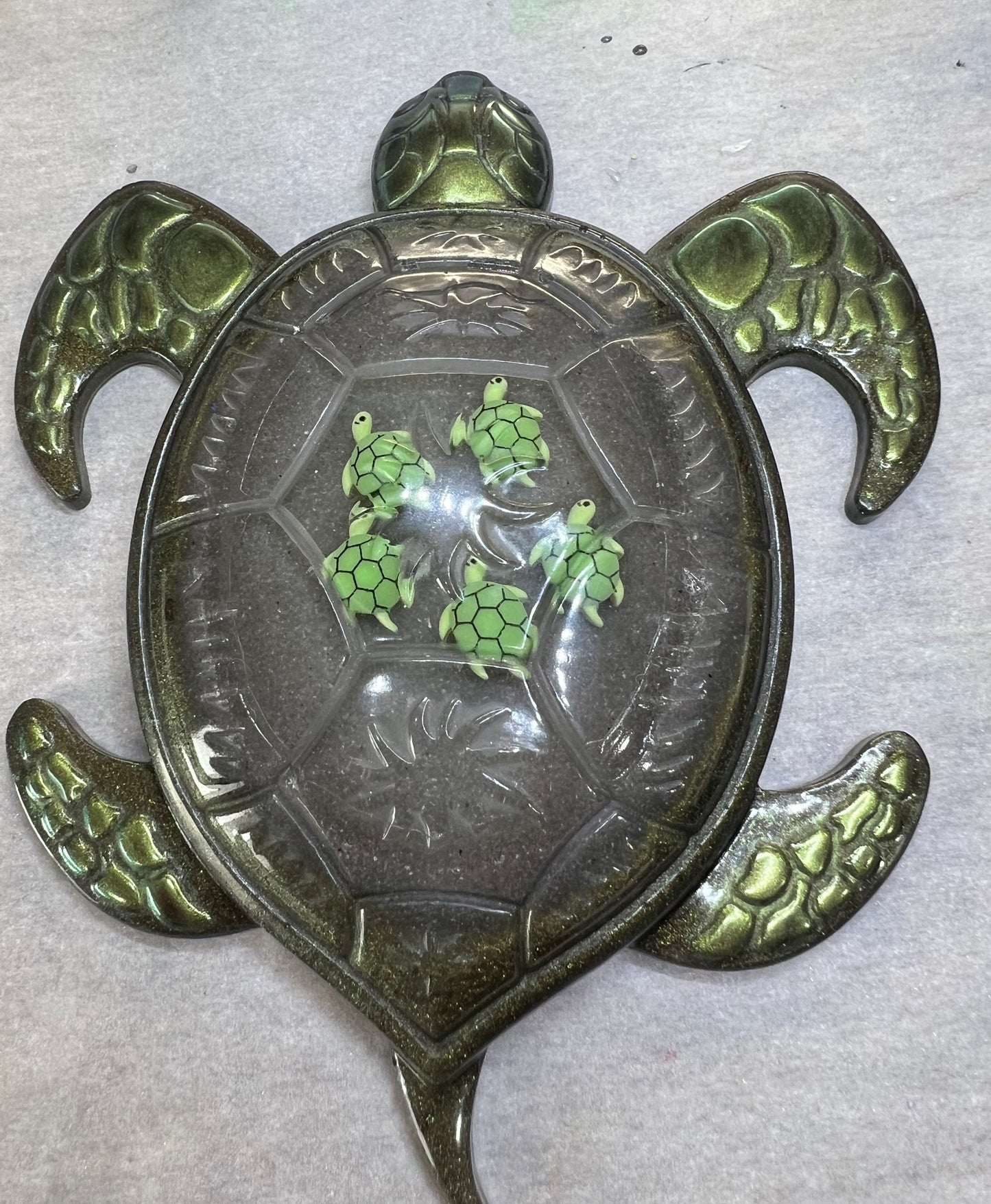 Turtle with Babies