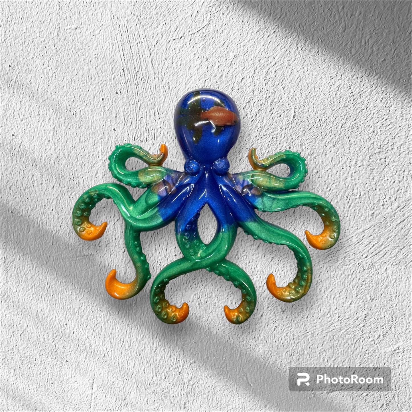 Large Octopus with Fish