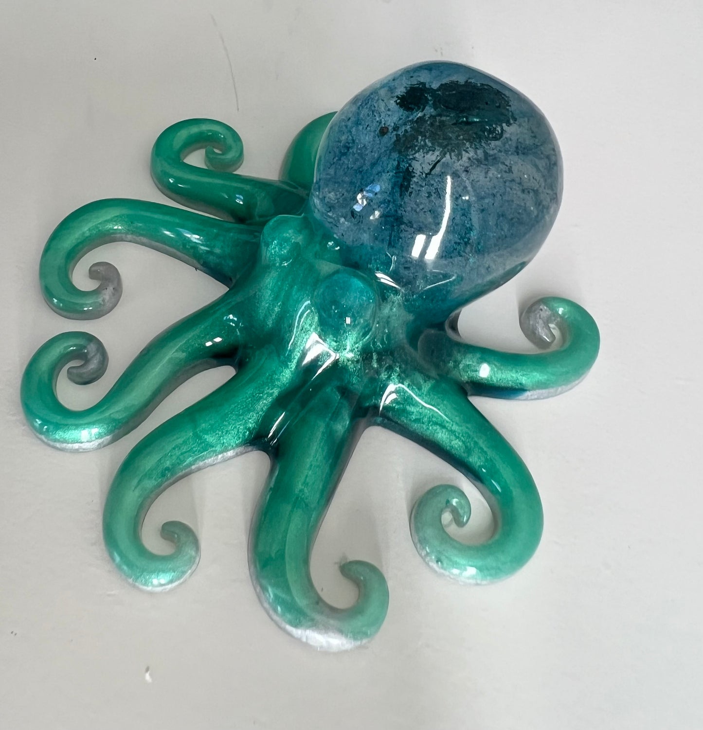 Octopus