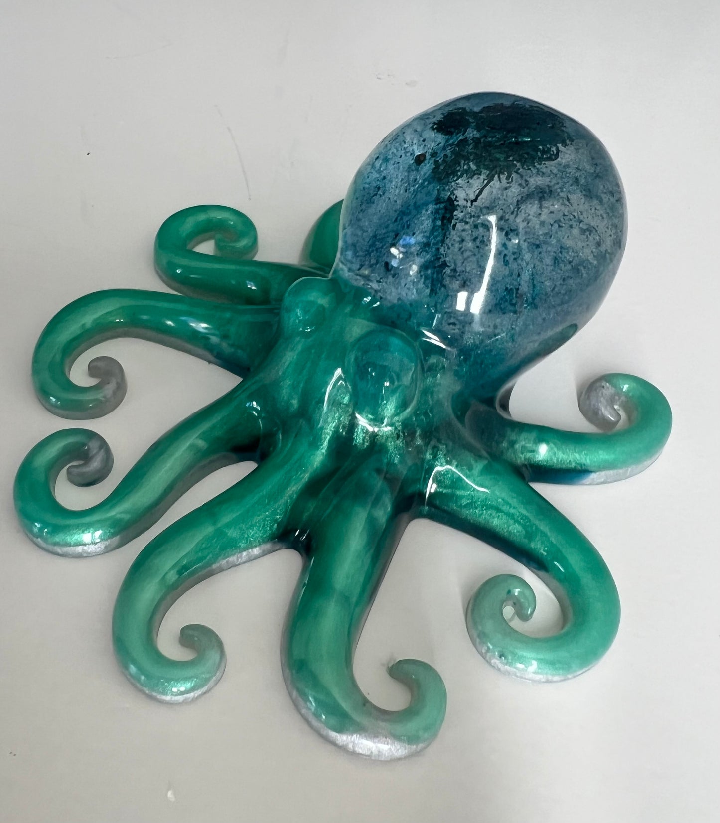 Octopus