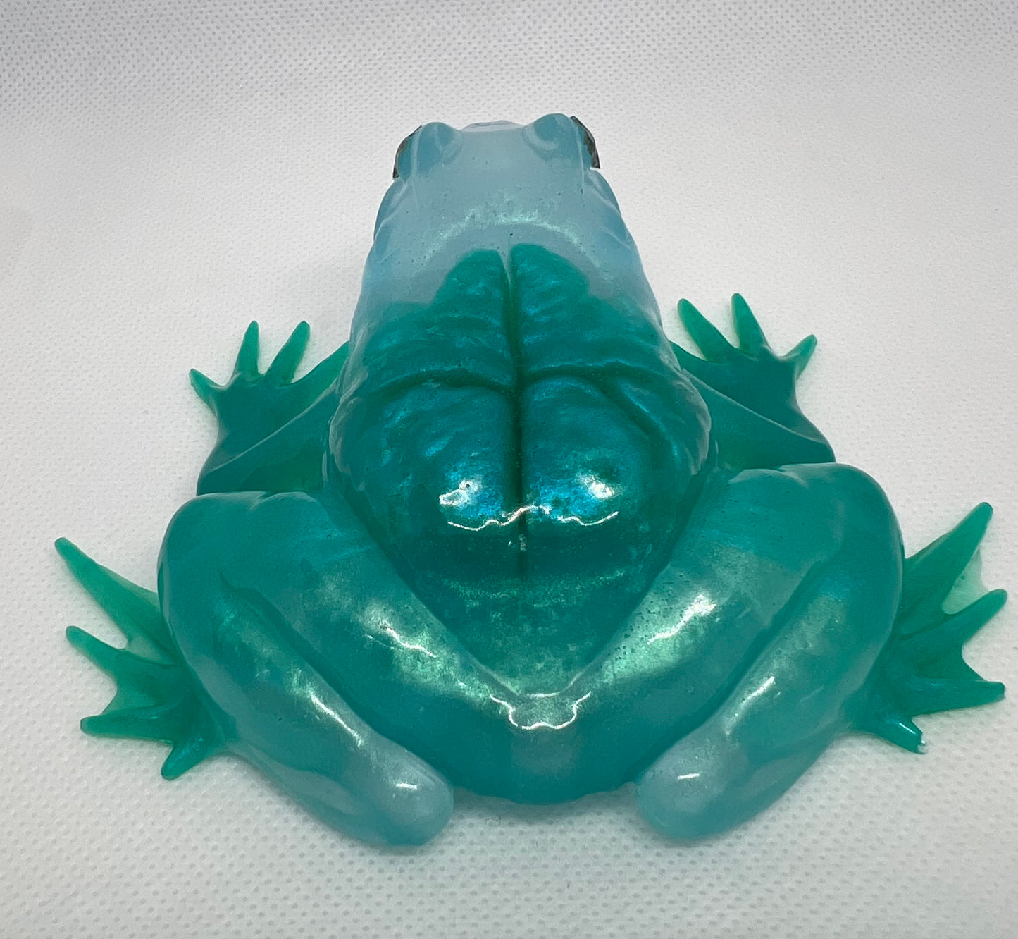 Turquoise Frog