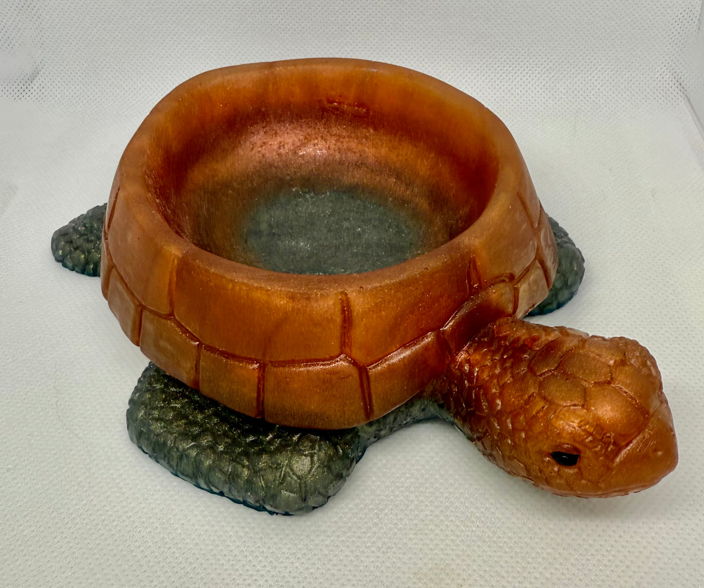 Turtle Plant Holder