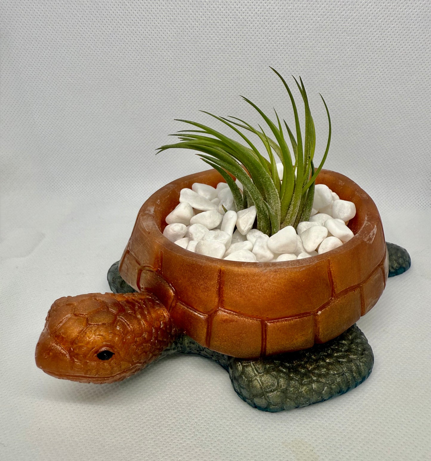 Turtle Plant Holder