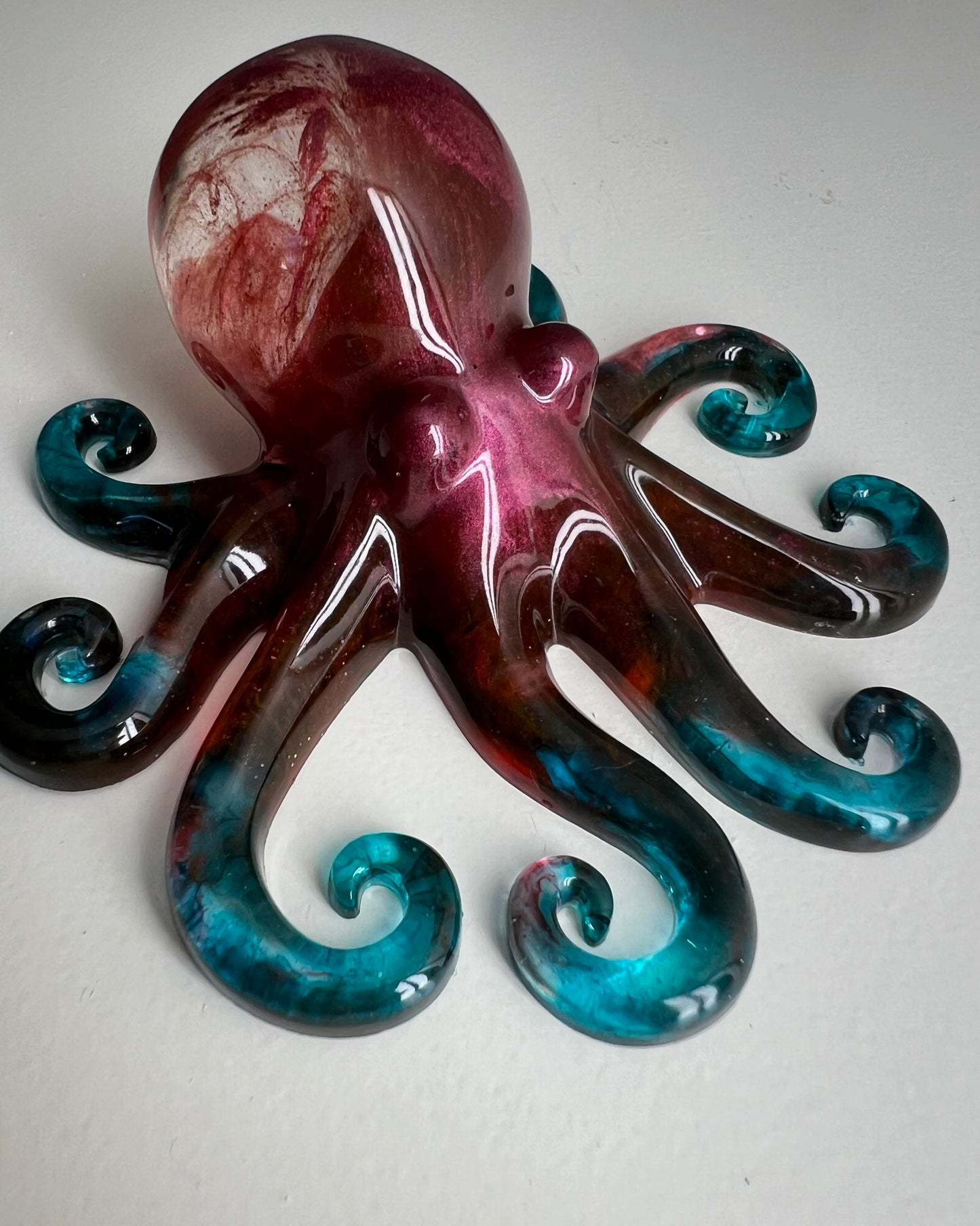 Octopus