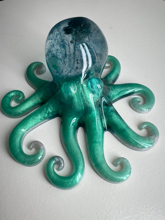 Octopus