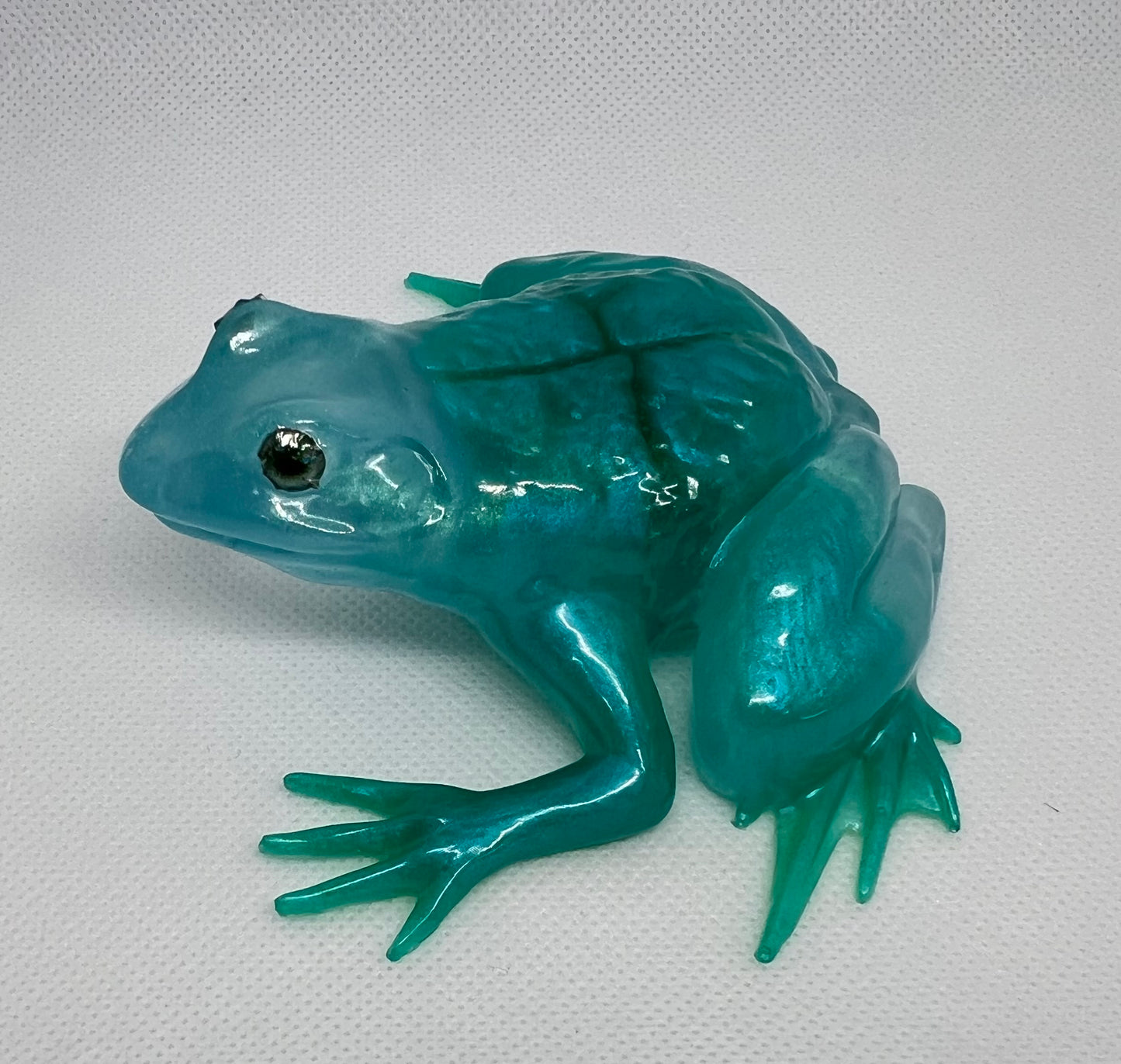 Turquoise Frog