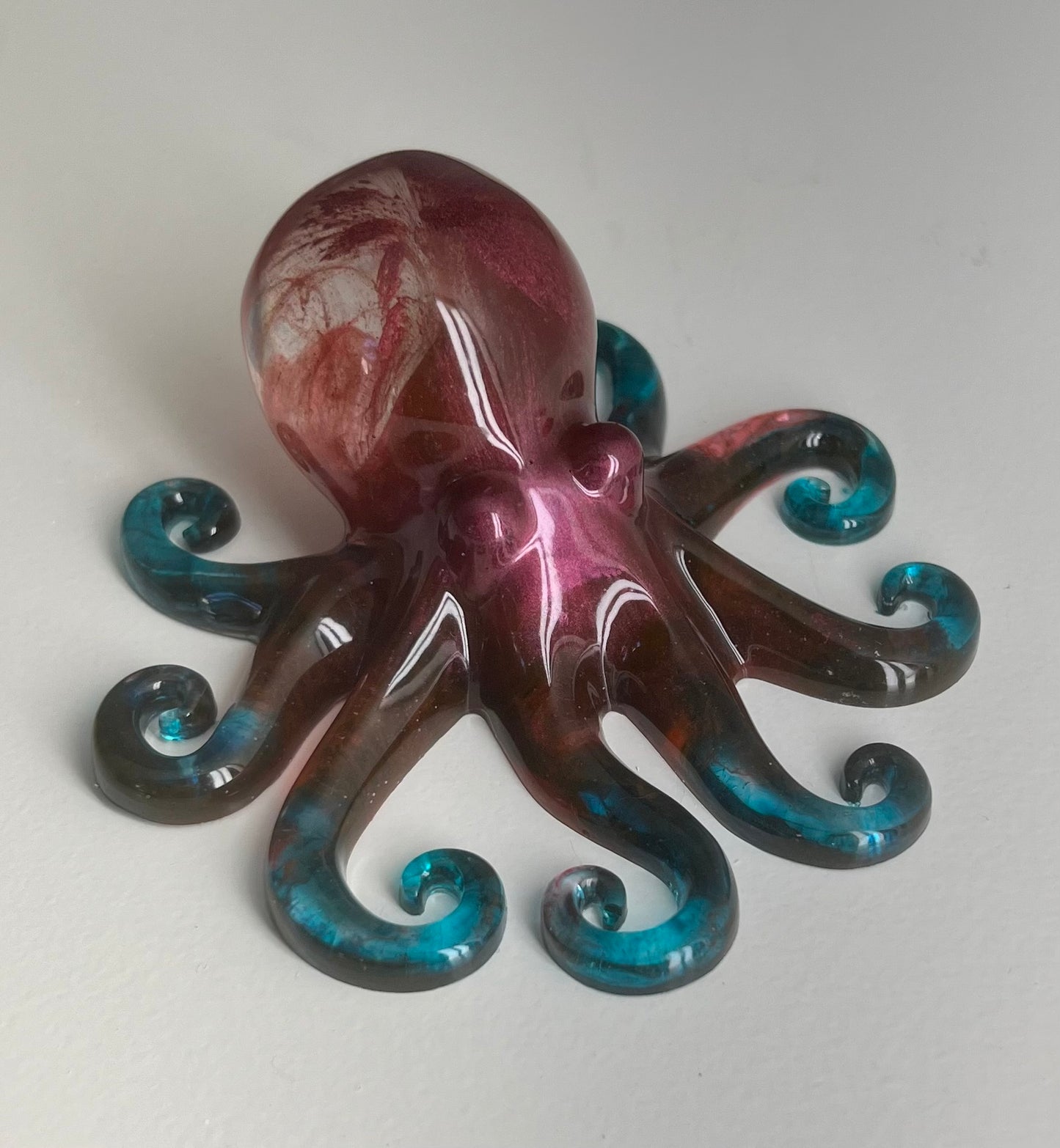 Octopus