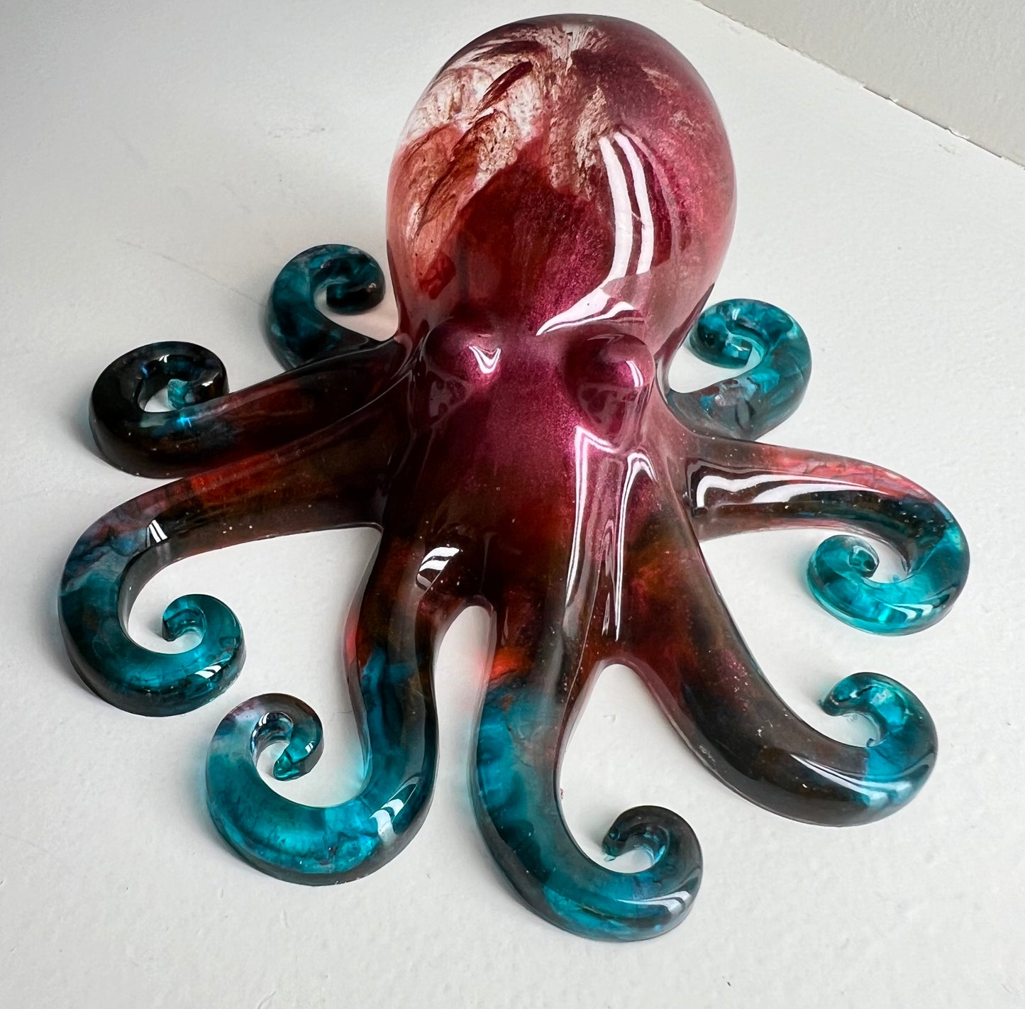 Octopus