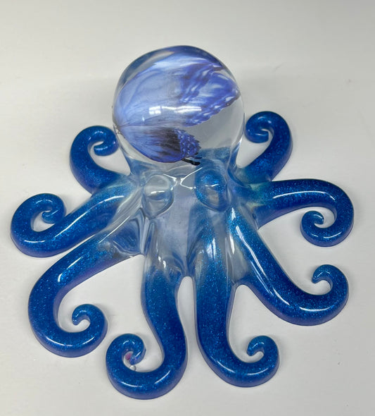 Octopus with blue butterfly