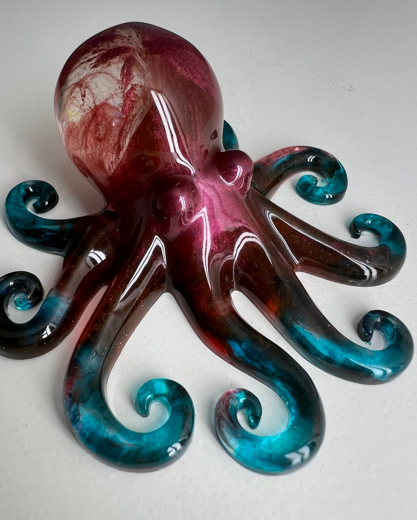 Octopus