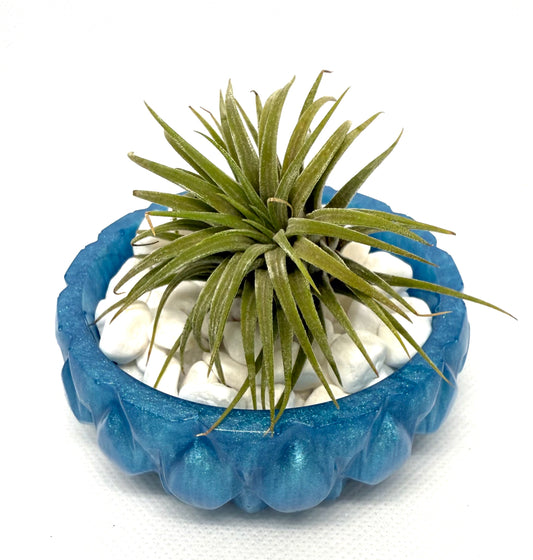 Sky Blue Epoxy Plant Holder Bowl