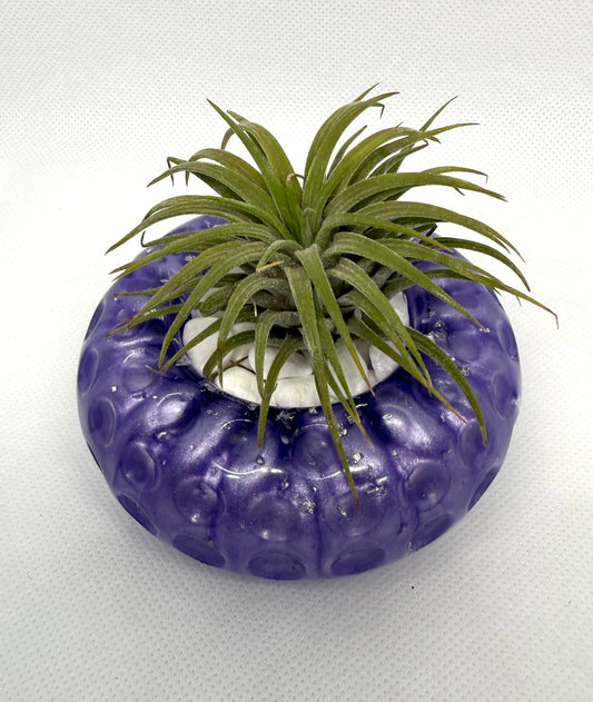 Purple & Silver Plant Holder