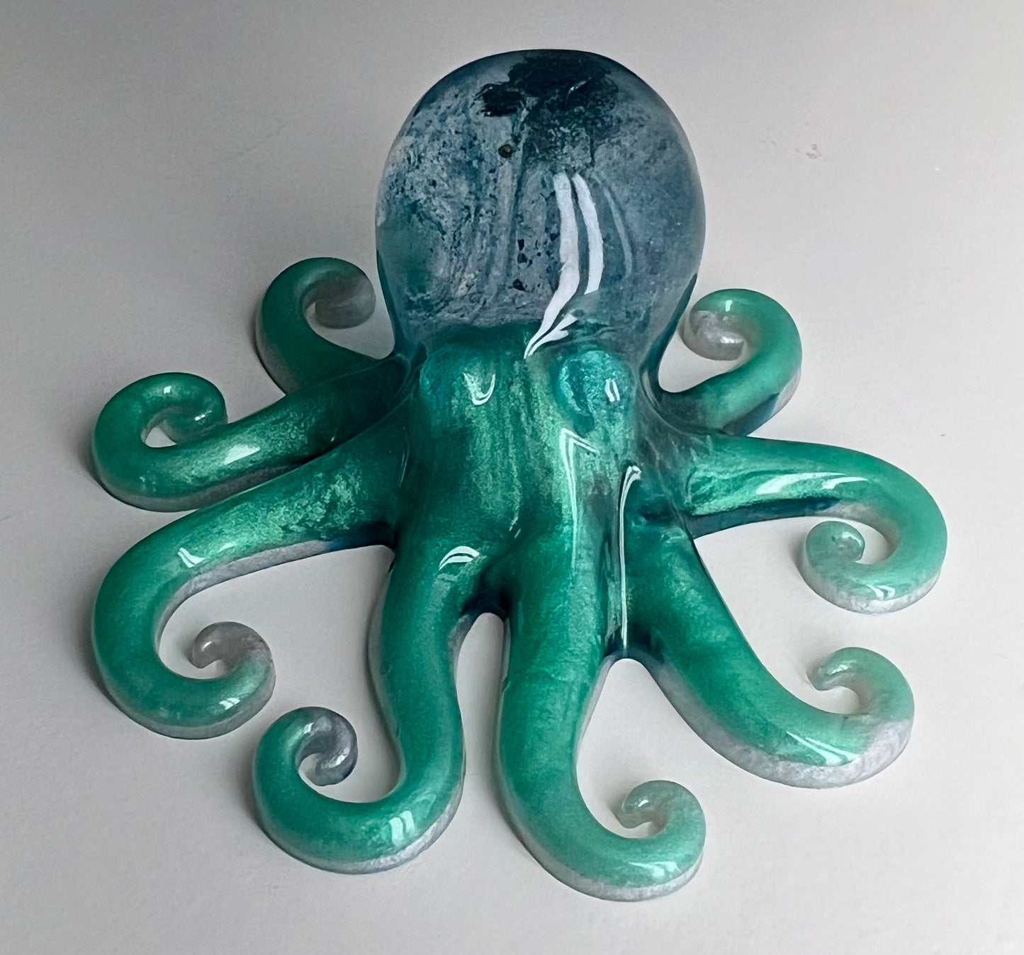 Octopus