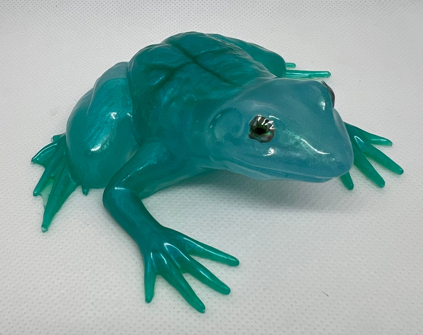 Turquoise Frog