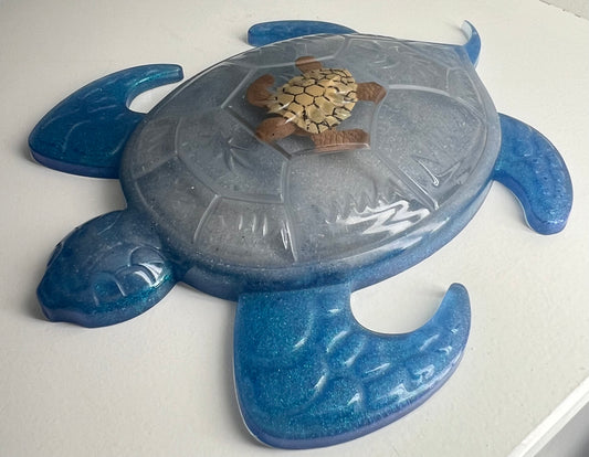 Turtle with baby