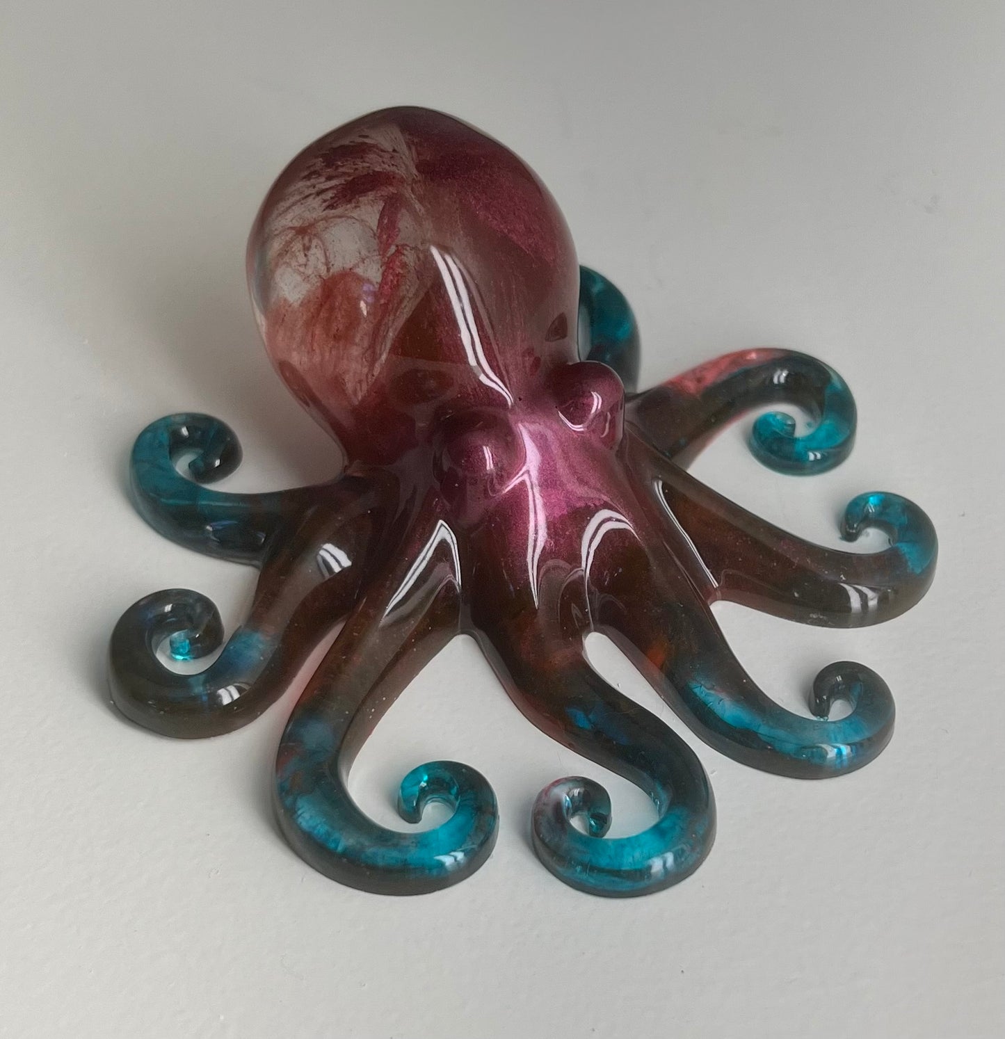 Octopus