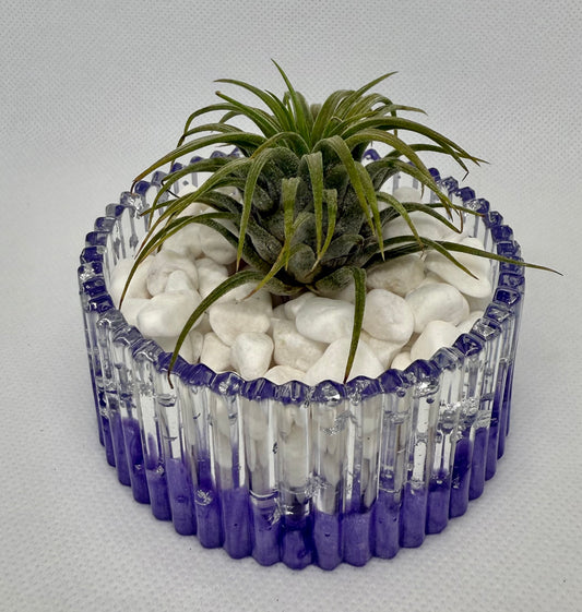 Purple & Silver Plant Holder