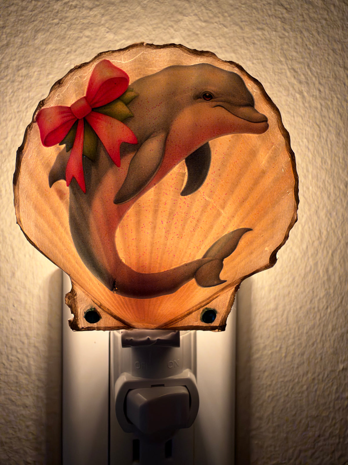 Dolphin Seashell Nightlight