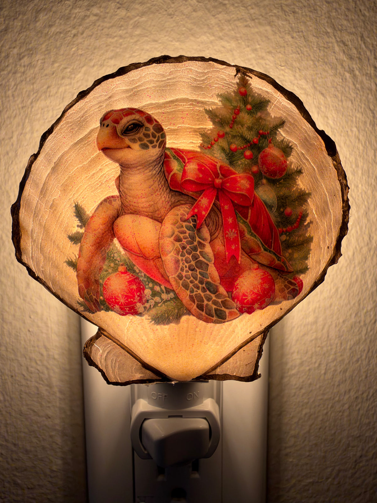 Turtle Sea Shell Nightlight