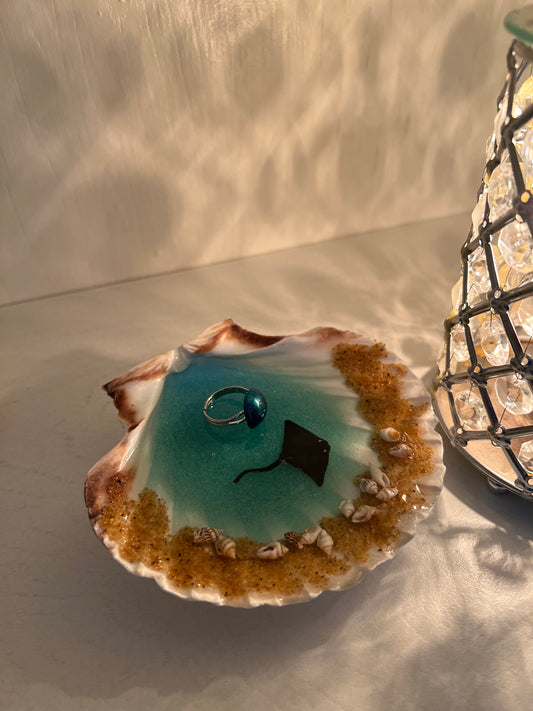 Large Ocean Shell Jewelry Dish