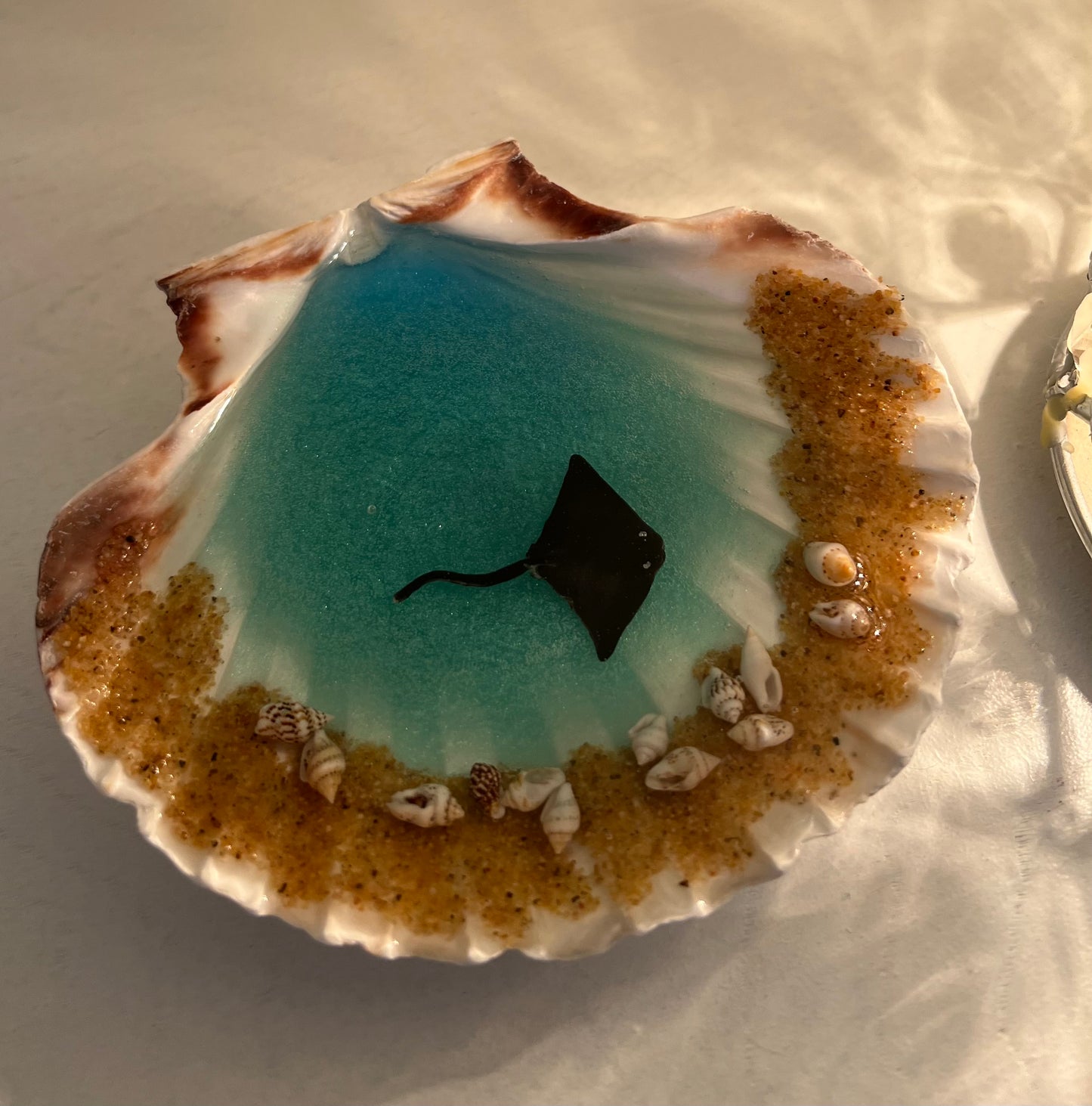 Large Ocean Shell Jewelry Dish