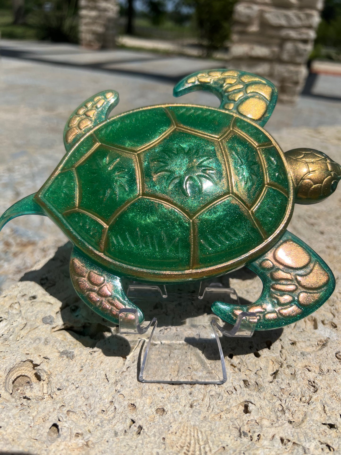 Turtle Home Decor