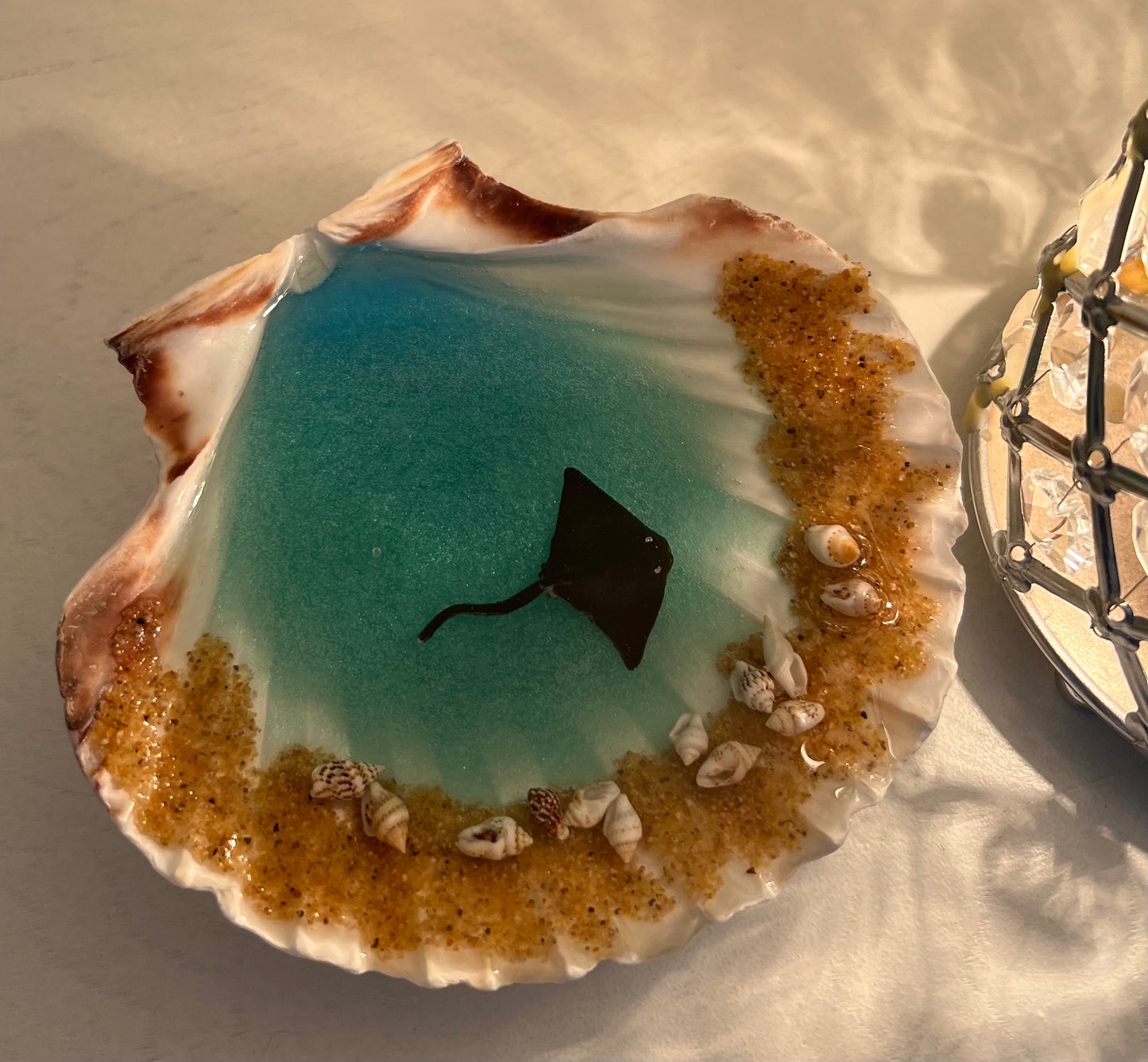 Large Ocean Shell Jewelry Dish